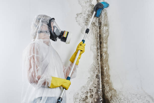 Best Mold Testing  in Happy Valley, OR