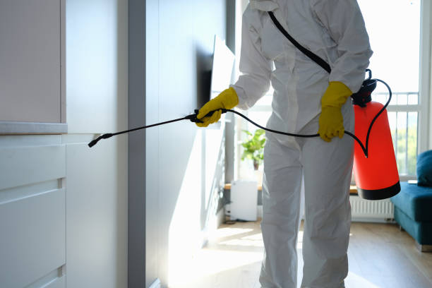 Best Mold Damage Repair  in Happy Valley, OR