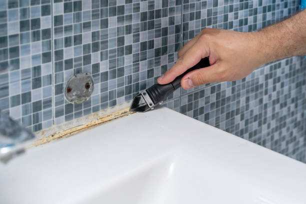 Professional Mold Removal in Happy Valley, OR