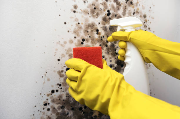 Best Water Damage Restoration  in Happy Valley, OR