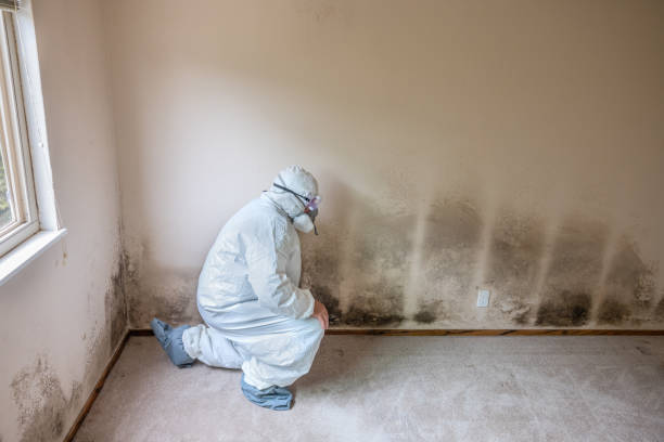 Best Professional Mold Removal  in Happy Valley, OR