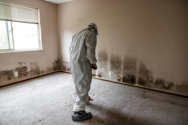 Mold Testing and Removal in Happy Valley, OR