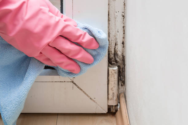 Best Mold Cleaning Services  in Happy Valley, OR